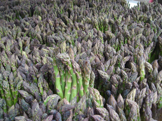 Asparagus