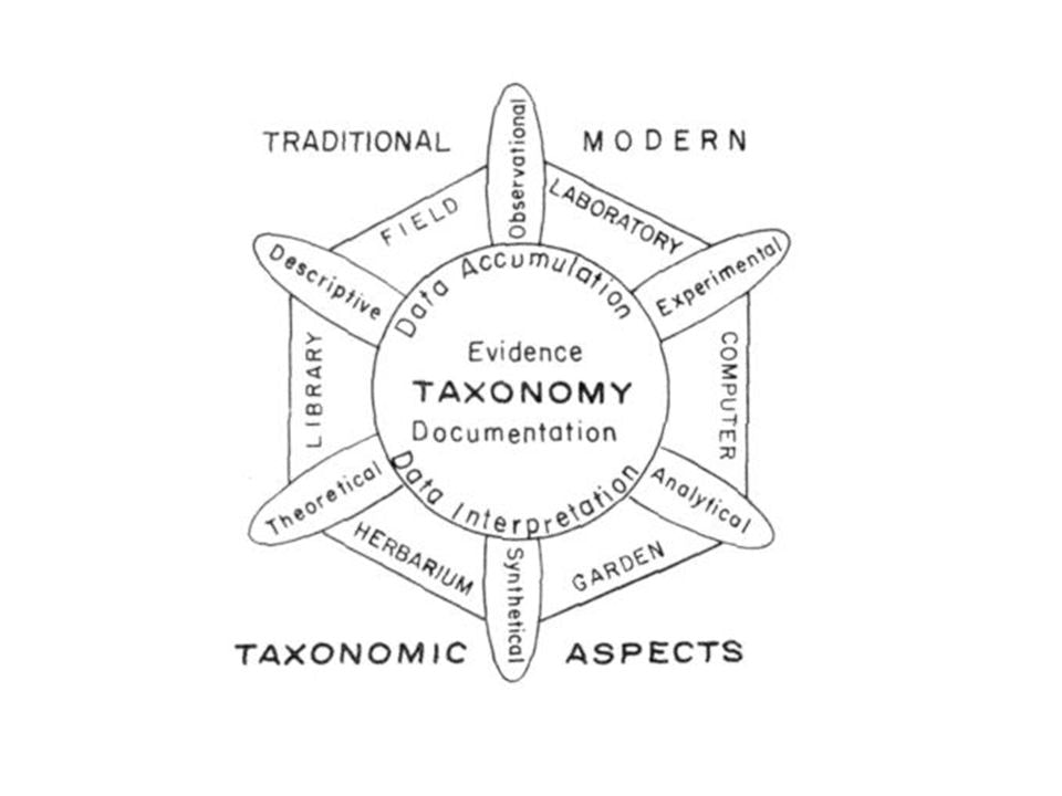 Choosing a Specific Plant Classification System